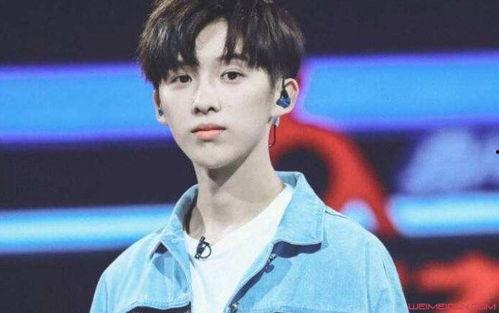 李佳宁个人资料 年龄,青春洋溢的XX岁才女，闪耀舞台的璀璨星辰