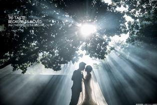 感人的图片背景,温情永驻——感人瞬间背后的故事