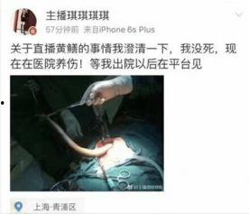女主播黄鳝门磁力链接,女主播磁力链接引发的舆论风暴