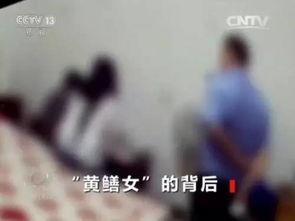 黄鳝 女主播 ftp,揭秘网络直播界的隐秘角落